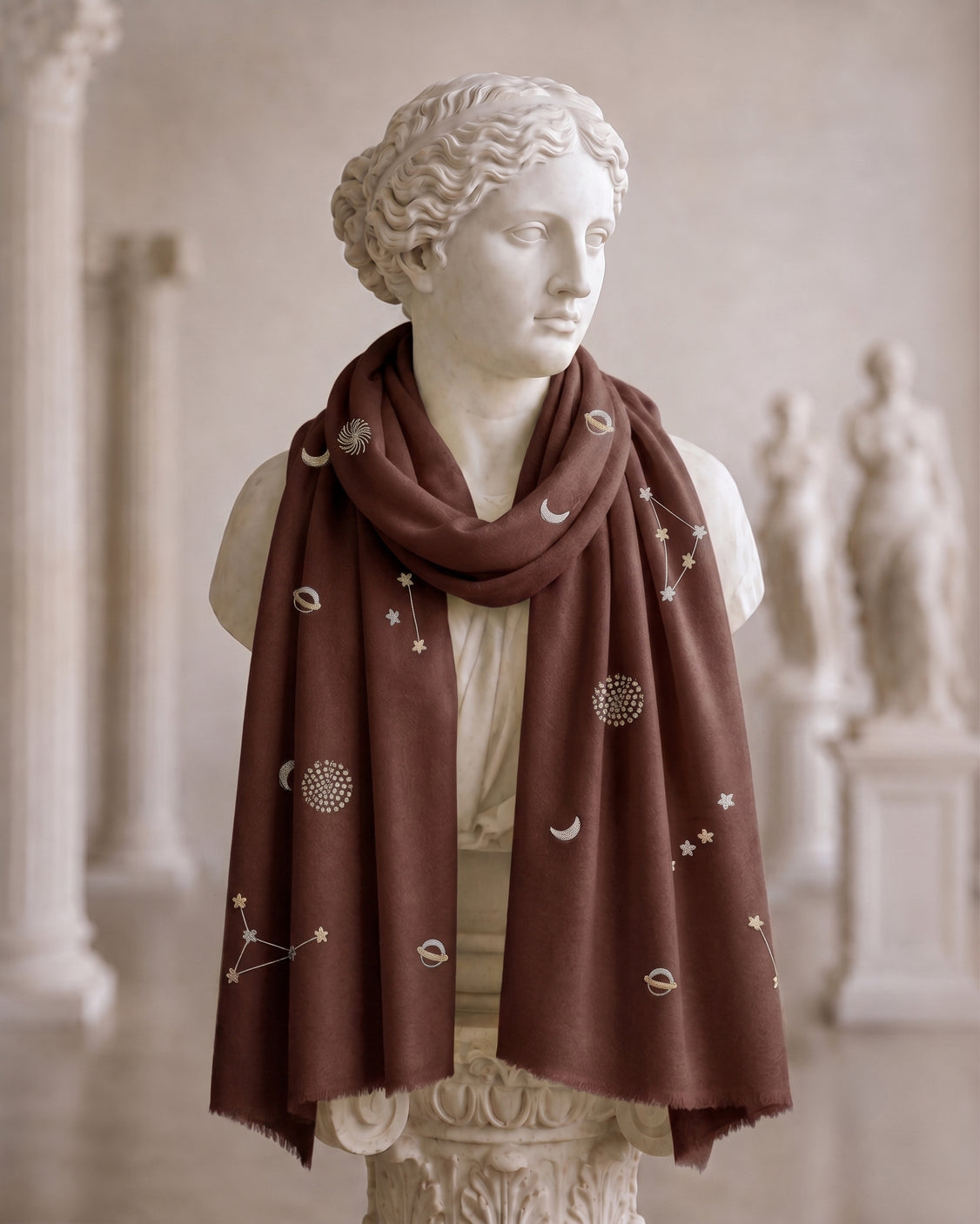 Brown Galaxy, Paani Tila Emb. Pure Pashmina Scarf