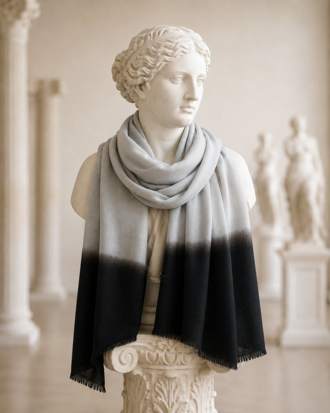 Black Ombre Pure Pashmina Scarf
