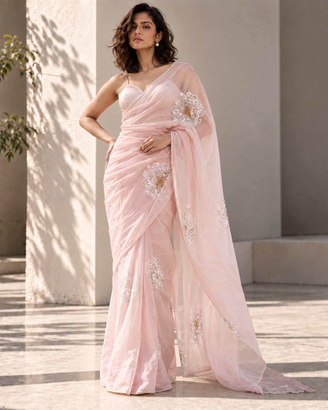 Restored Sozni Pure Organza Saree