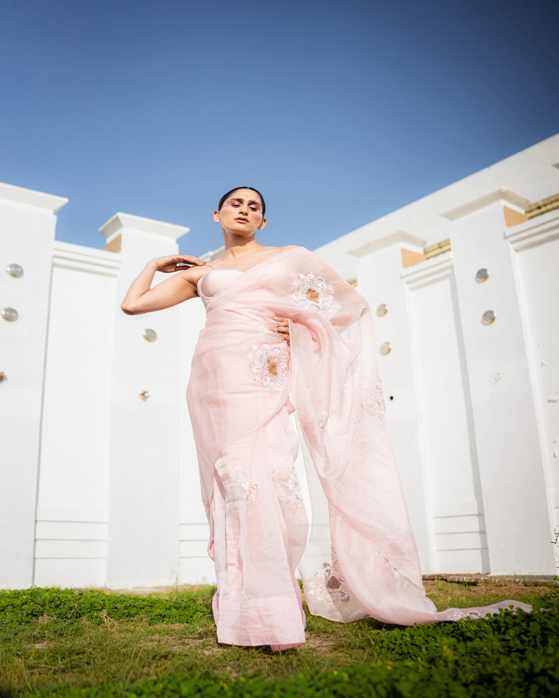 Restored Sozni Pure Organza Saree