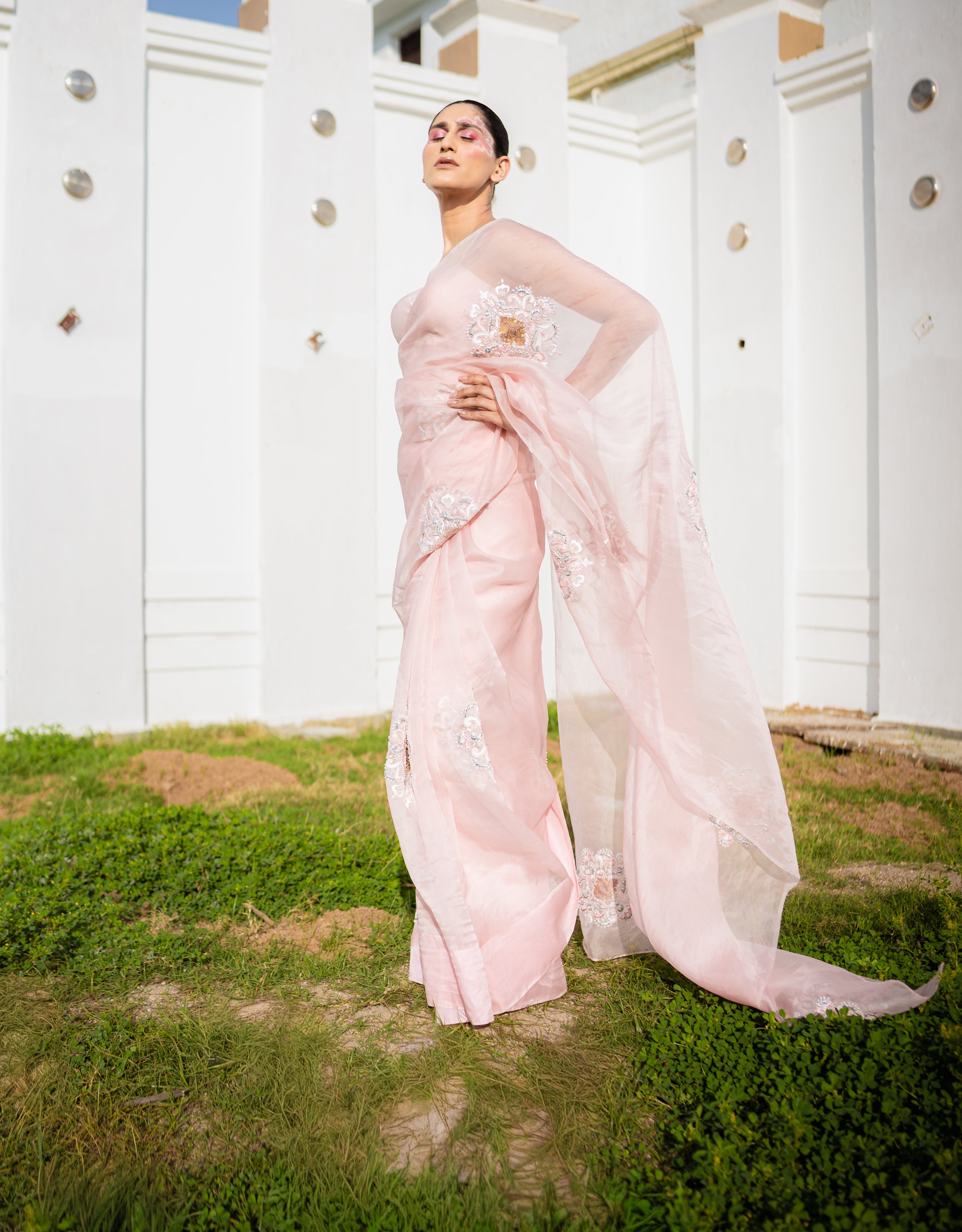 Restored Sozni Pure Organza Saree