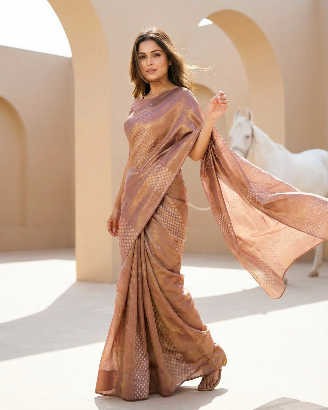 Nutmeg Real Silver Saree in Tissue Silk
