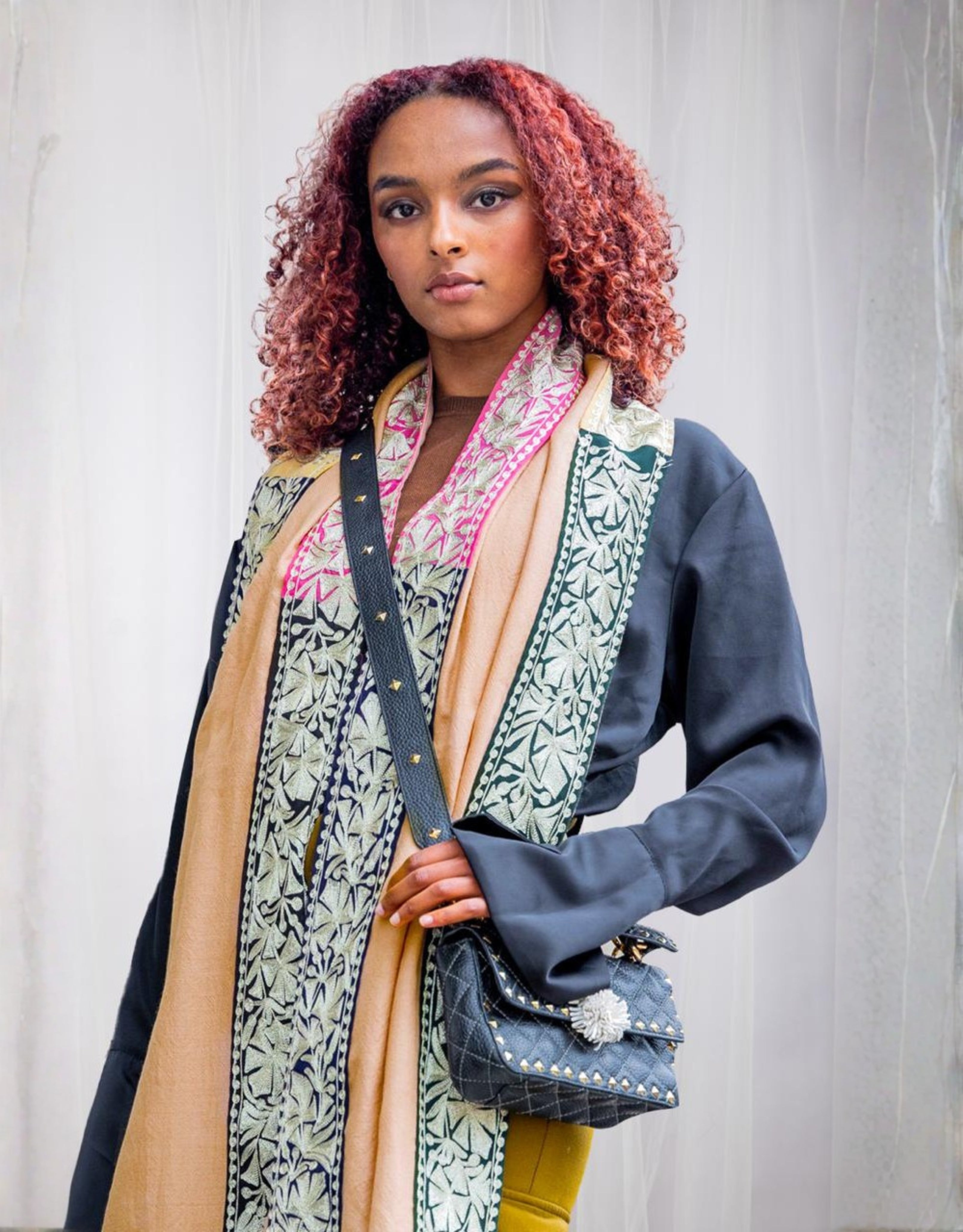 Coloring Boundaries in Pashmina-Embroidered Stole with Earthy Tones and Ornate Borders in Beige