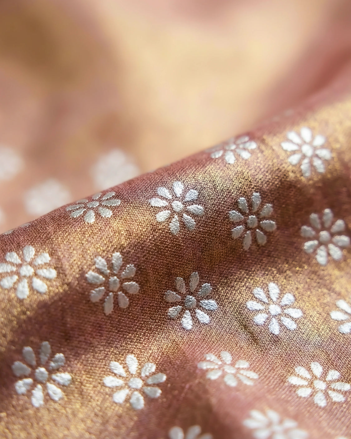 Nutmeg Real Silver Saree in Tissue Silk