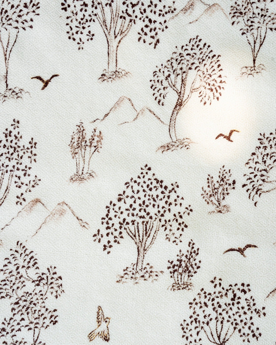 Ivory Hand-Painted Chanderi Silk Scarf