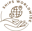 Ship worldwide icon
